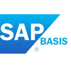 SAP Basis