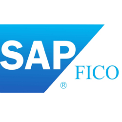 SAP FICO