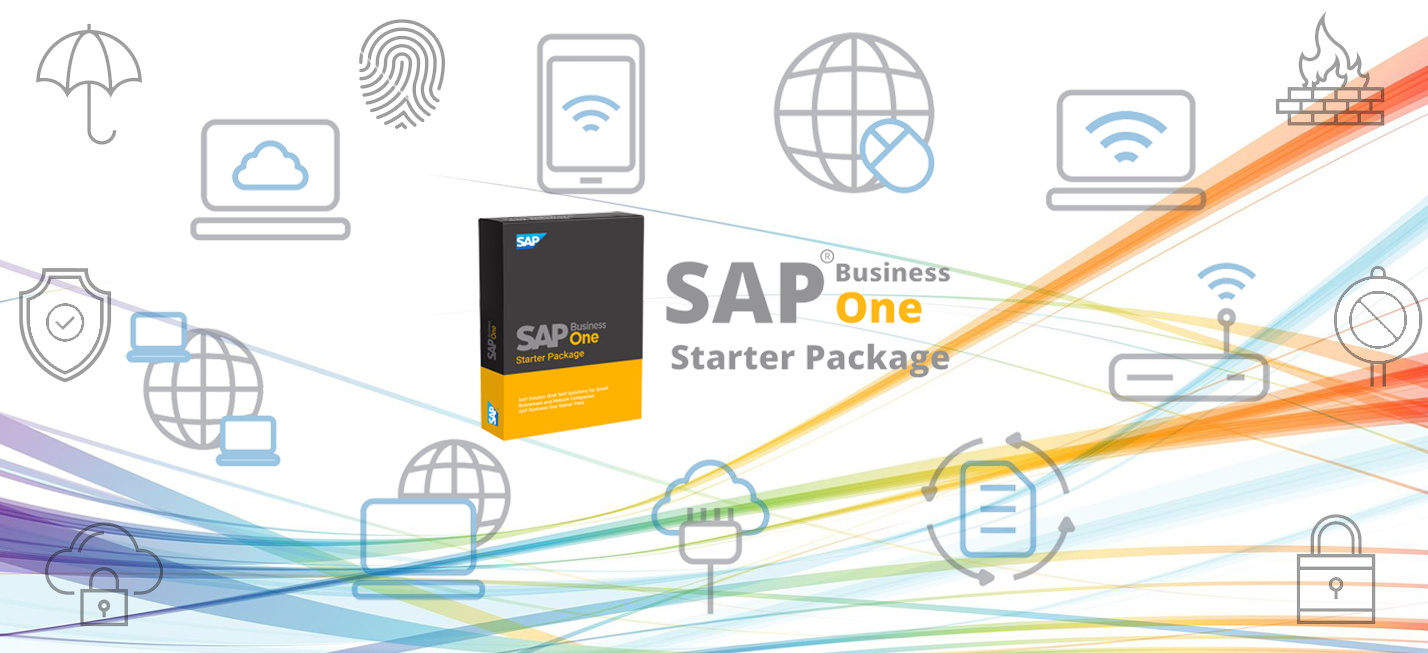 SAP Business One Starter Package